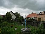 Třibřichy